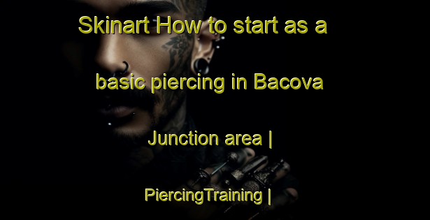 Skinart How to start as a basic piercing in Bacova Junction area | PiercingTraining | PiercingClasses | SkinartTraining-United States